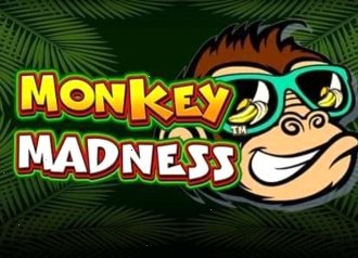 Monkey Madness игровой слот с обезьянами